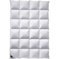 Billerbeck Daunendecke Nena 306 Kassette VI extra warm, Füllung: 100% Gänsedaunen