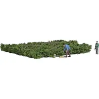 Busch H0 Waldheidelbeeren pflücken Fertigmodell