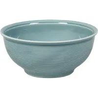 Thomas Schüssel Trend Cereal Ice Blue 16 cm