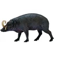 Collecta Wilde Tiere babirusa