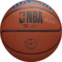 Wilson Nba Team Alliance Basketball Det Pistons