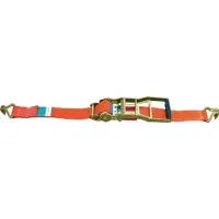 Dolezych Zurrgurt DIN EN 12195-2 Länge 10 m Breite 50 mm mit Langhebelratsche + Spitzhaken LC U 5000 daN