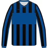 Stanno Aspire Langarm Trikot