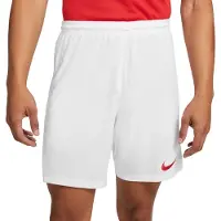 Nike Hosen Park Iii, BV6855103, Größe: 173