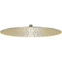 vidaXL Regenbrause Edelstahl 40 cm Rund Golden