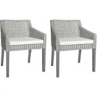 vidaXL Esszimmerstühle mit Kissen 2 Stk. Grau Natur Rattan