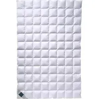 Billerbeck Daunendecke Nena 306 Superlight extra leicht, Füllung: 100% Gänsedaunen