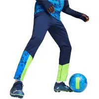 Puma IndividualCUP Fußball-Trainingshose Herren blau pro grün Gr M