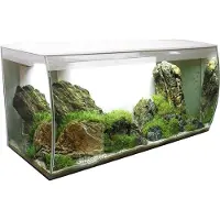 Fluval Aquarium Flex 123 l inkl. LED-Beleuchtung, Filter, Schaumstoffunterlage ohne Unterschrank weiß