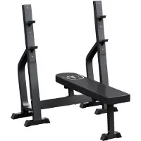 Gorilla Sports 100128-00045-0001, 250 kg, 40 kg