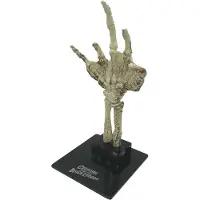 Factory Entertainment Universal Monsters Mini Replik Fossilized Creature Hand 18 cm