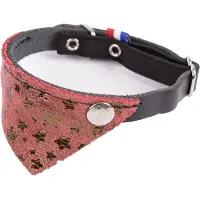 Martin Halsband Kat Miami Rood / Zwart