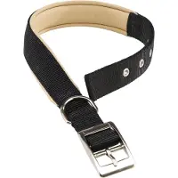 Ferplast Nylon Daytona C 25 Mm 53 Cm Hundehalsband