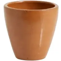 Nordal Wacholderbecher braun 6er-Set