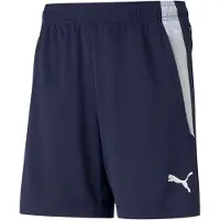 Puma Kindershorts Team Liga Training