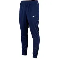 Puma Herren Sporthose teamRISE Poly Training Pan