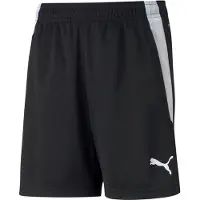 Puma Kindershorts Team Liga Training