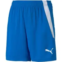 Puma Teamliga Shorts Kinder - Royal