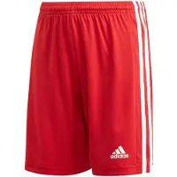 Adidas Squadra 21 Kurze Hose