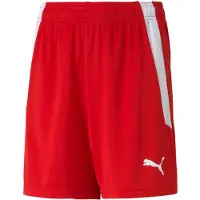 Puma Teamliga Shorts Kinder - Rot