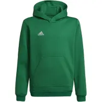 Adidas Entrada 22 Kapuzenpullover