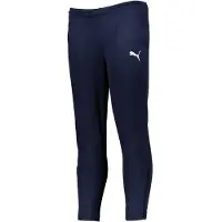 Puma Trainingshose "TEAMRISE POLY TRAINING PANTS JR" Regular Fit, für intensive Einheiten und sportliche Aktivitäten