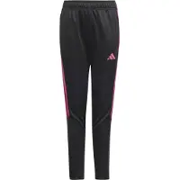 Adidas Kinder Sporthose TIRO23 CBTRPNTY