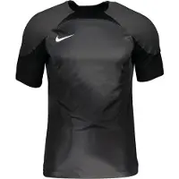 Nike Gardien IV TorwartTrikot Jersey Grau F060 M
