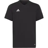Adidas Kinder Fanshirt Entrada 22