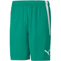 Puma Shorts Team Liga