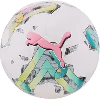 Puma Orbita 5 TB Hardground Trainingsball F01
