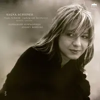 Brilliant Classics Konzertante Variationen/Klavierkonzert Op.61
