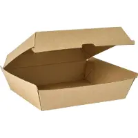 Duni Take Away Boxen BioPak
