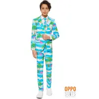 Opposuits Teen Flaminguy
