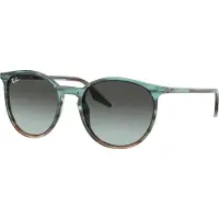 Ray-Ban RB2204 1394GK 51 – Sonnenbrille