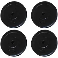 vidaXL Hantelscheiben 4 Stk. 20 kg
