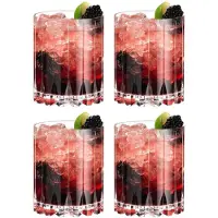 Riedel Drink Specific Double Rocks Glas Value Set 4 Glas