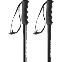 Nordica Dobermann Poles Silber 115 cm
