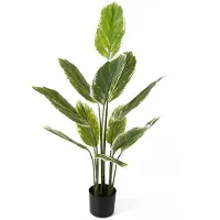 PT Living Kunstplant Calathea Large - Groen - 70x70x116cm - Modern