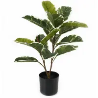 PT Living Oak Leaf