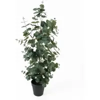Atmosphera Eucalyptus Leaf Large