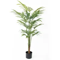 PT Living Palm