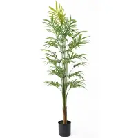 PT Living Kunstplant Gold Palm Tree Large - Groen - 65x65x160cm - Modern