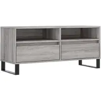 vidaXL TV-Schrank Grau Sonoma 100x34,5x44,5 cm Holzwerkstoff