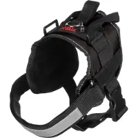 Flamingo Geschirr Titan schwarz, Maße: 55-68 cm
