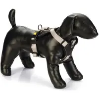 Beeztees Premium Parinca Y Hundegeschirr