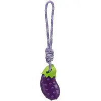 Trixie Hondenspeelgoed Aubergine Aan Koord Tpr