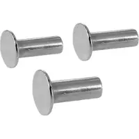Brooks Ø 8.75mm Solid Rivet can be used to replace tubrivets (3 pieces ) - Nickel B66, B66 's', B67, B67 '