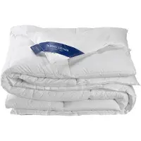 De Witte Lietaer bettdecke 240 x 220 cm Entendaunen/Baumwolle weiß