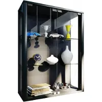 VCM Wandregal "Wandvitrine Hängevitrine Glasvitrine Glas Udina M", schwarz, B:60cm T:25cm, Regale, Wandregal